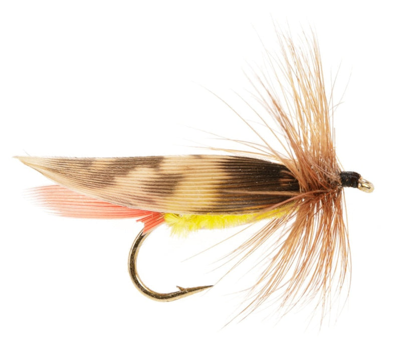 TERRESTRIAL FLY MICHIGAN HOPPER