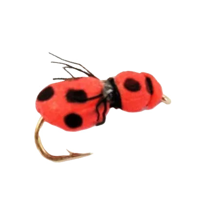 TERRESTRIAL FLY FOAM LADY BUG