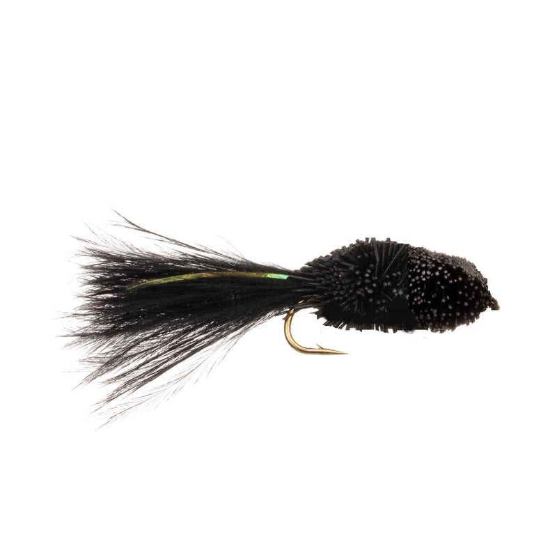 TADPOLE FLY BLACK