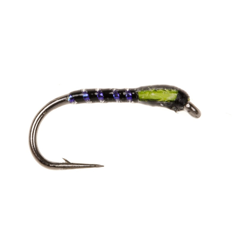 UV BUZZER FLY BLACK