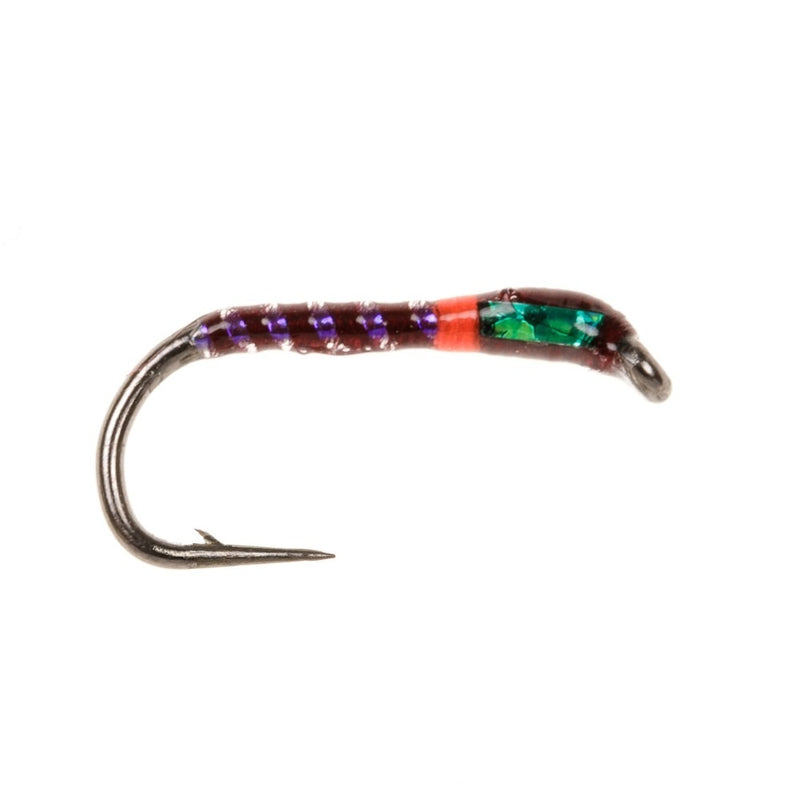 UV BUZZER FLY CLARET
