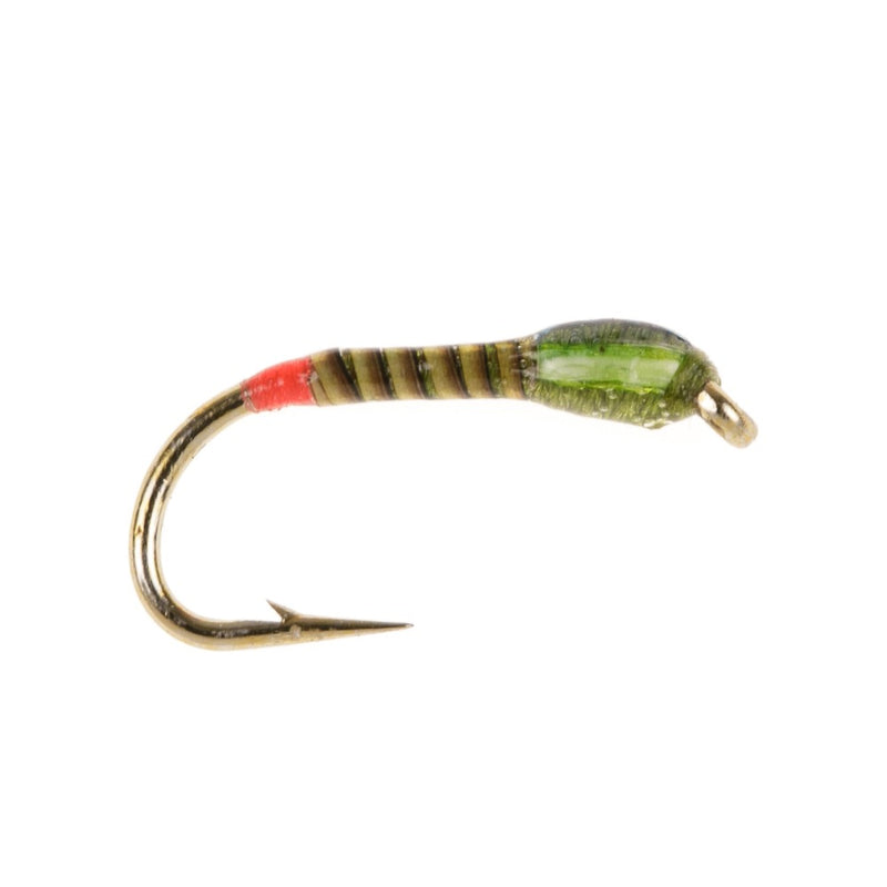 UV BUZZER FLY BLUE BACK UV