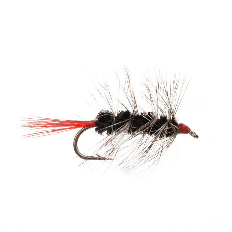 WOOLLY WORM FLY BLACK