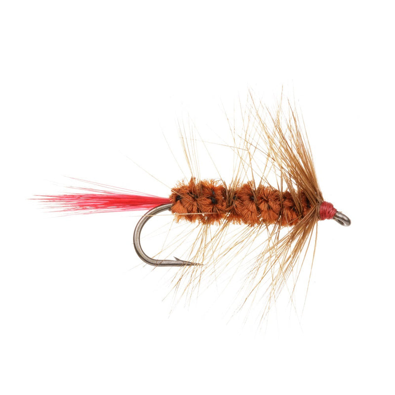 WOOLLY WORM FLY BROWN