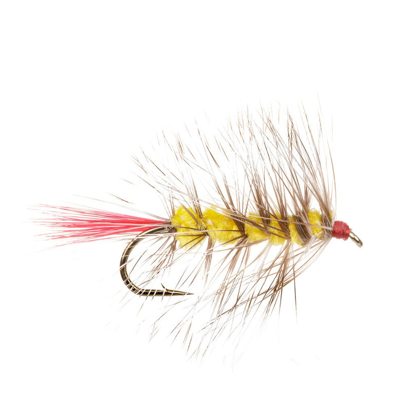 WOOLLY WORM FLY YELLOW