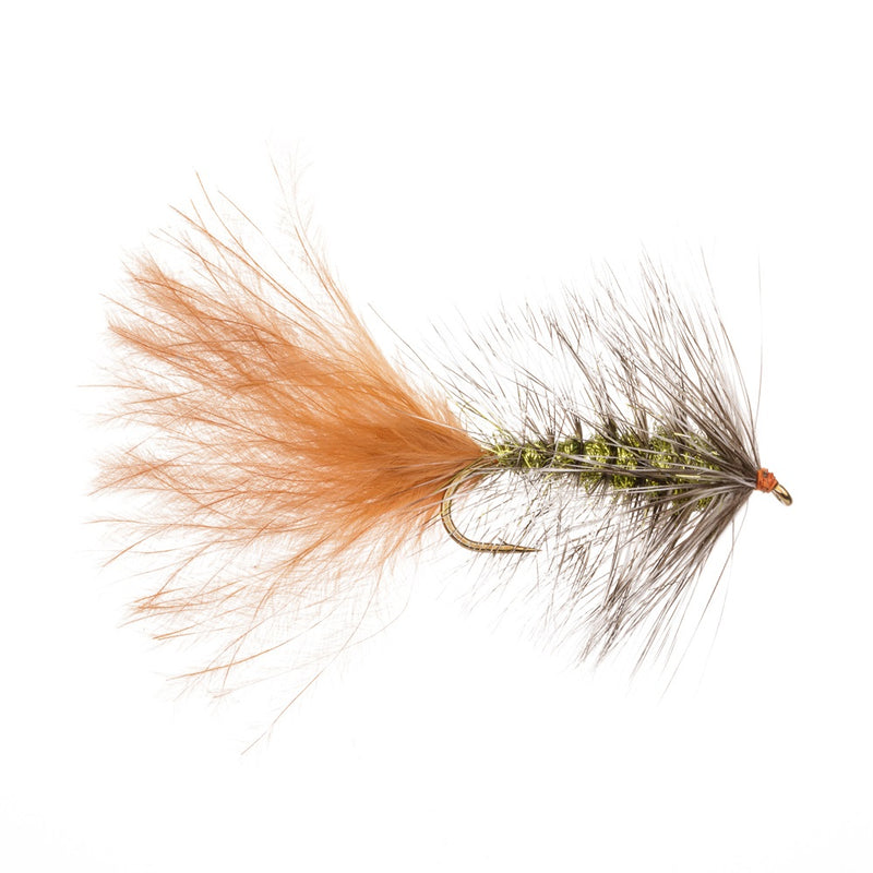 WOOLLY BUGGER FLY DAZZLE LEECH