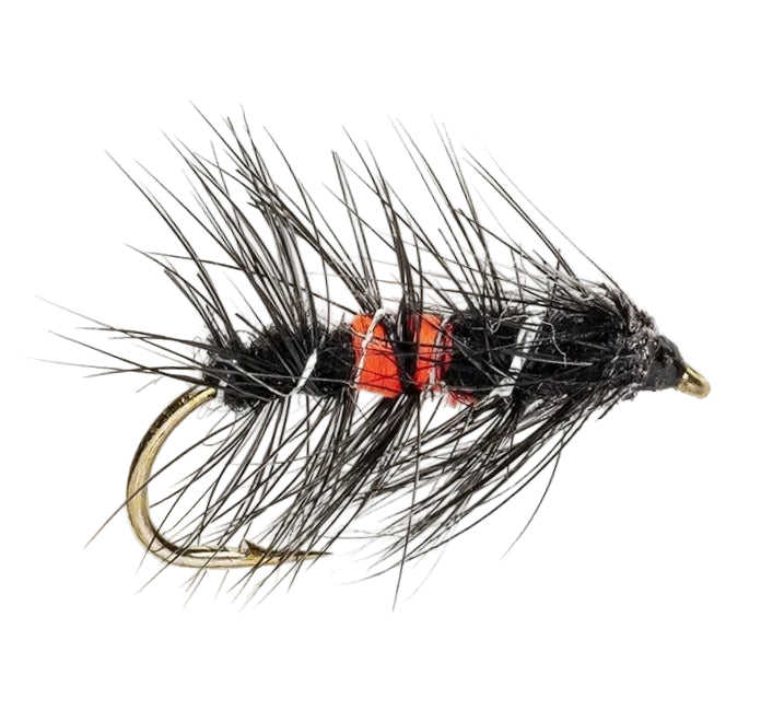 WET HACKLED FLY BIBIO