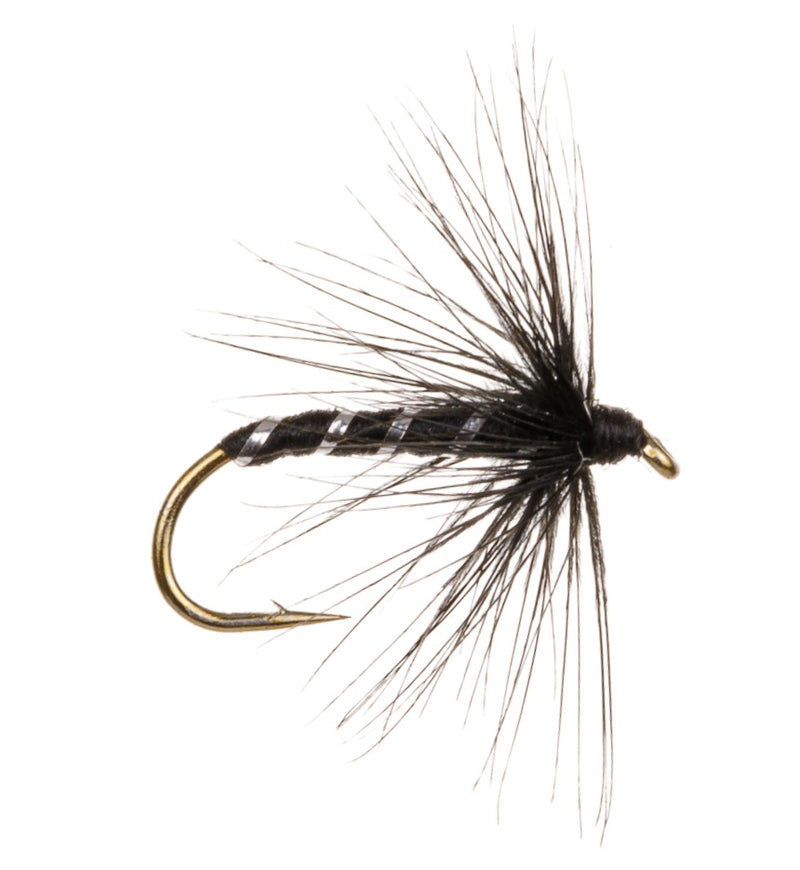 WET HACKLED FLY BLACK MIDGE
