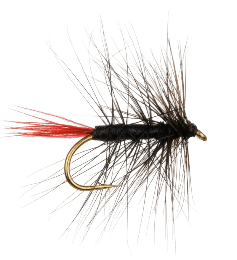WET HACKLED FLY BLACK PALMER