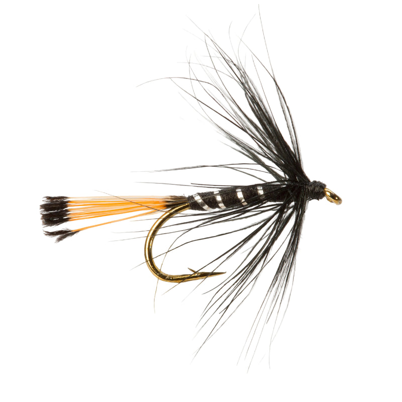 WET HACKLED FLY BLACK PENNEL