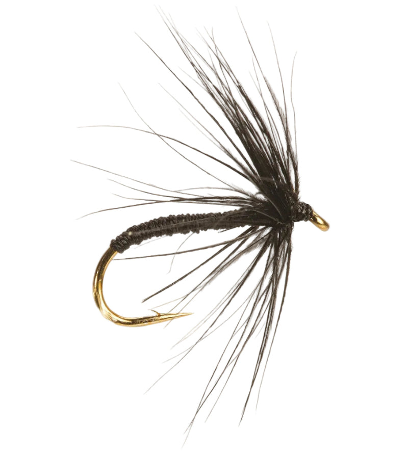 WET HACKLED FLY BLACK SPIDER