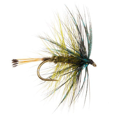 WET HACKLED FLY BUMBLE GOLDEN OLIVE