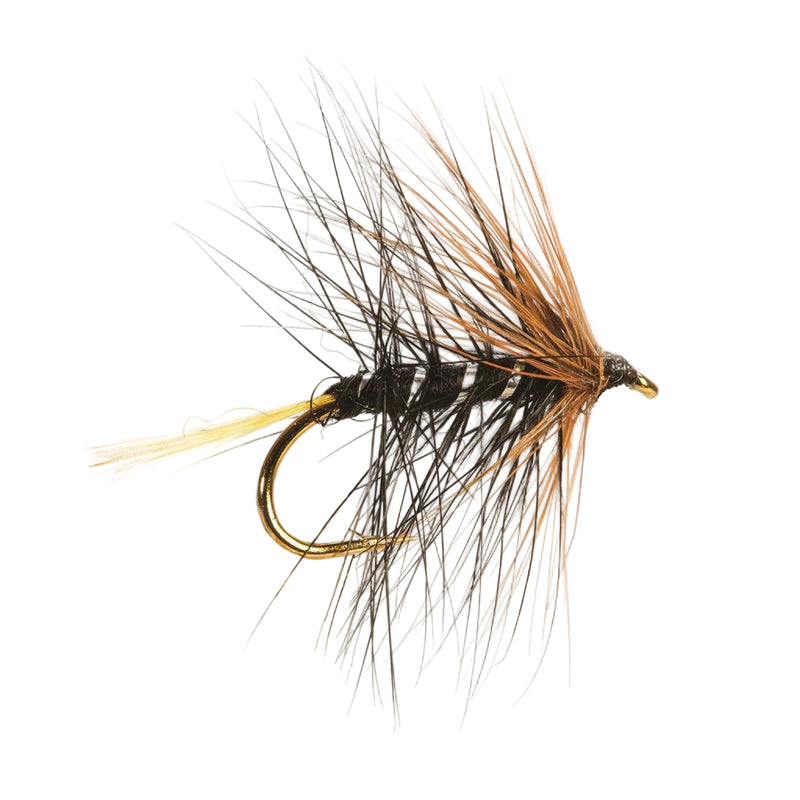 WET HACKLED FLY KATE MACLAREN