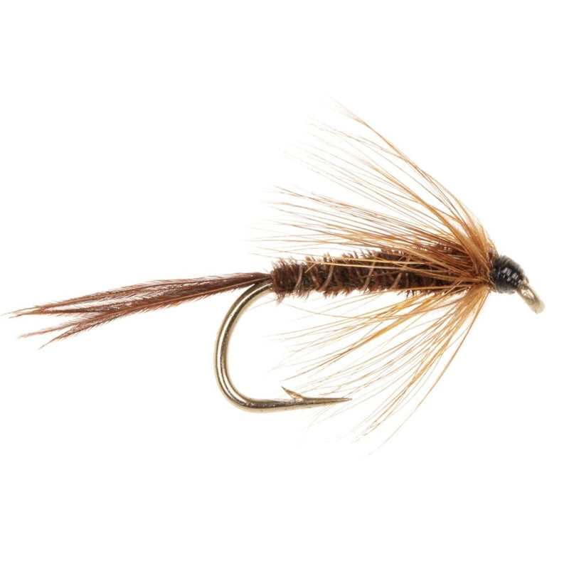 WET HACKLED FLY PHEASANT TAIL