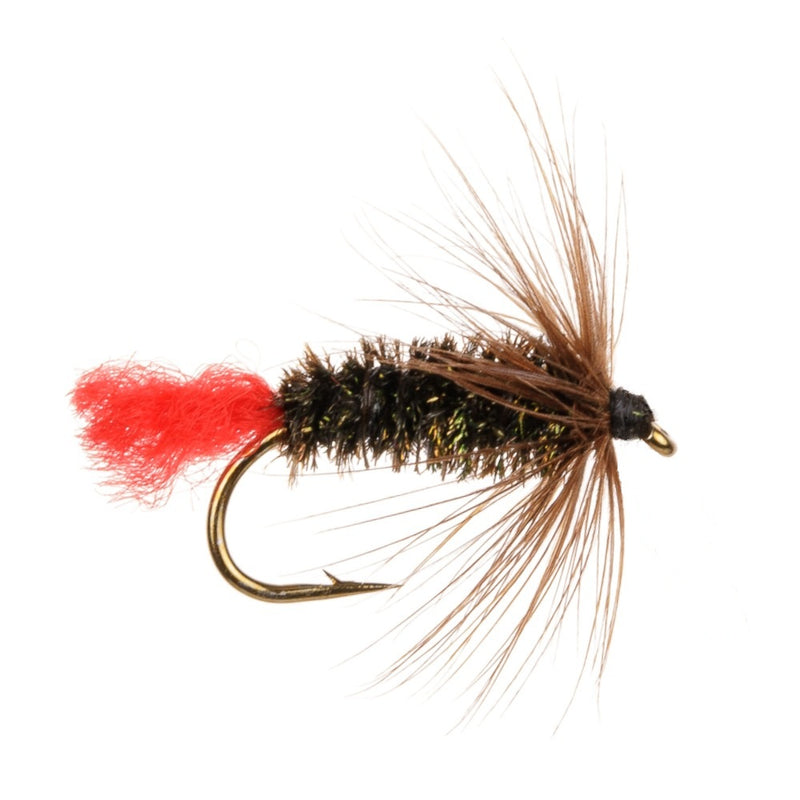 WET HACKLED FLY RED TAG
