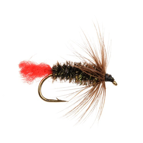 PEACOCK HERL FLY TYING FEATHER