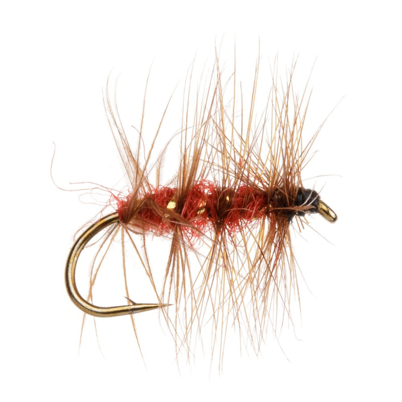 WET HACKLED FLY SOLDIER PALMER