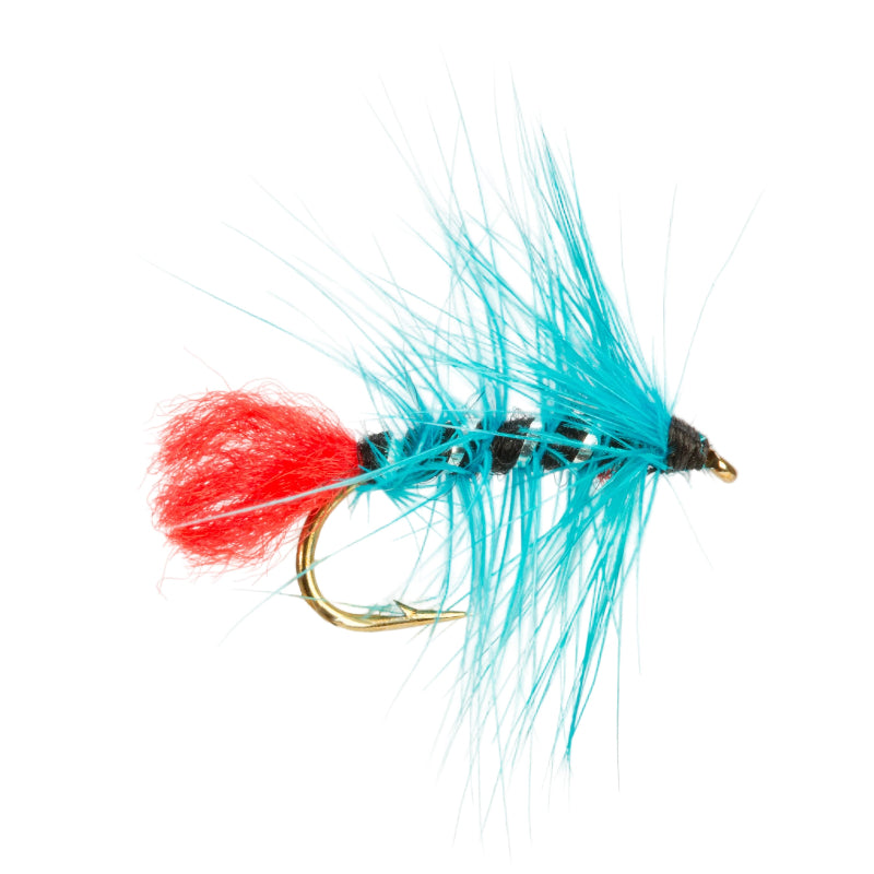 WET HACKLED FLY ZULU BLUE