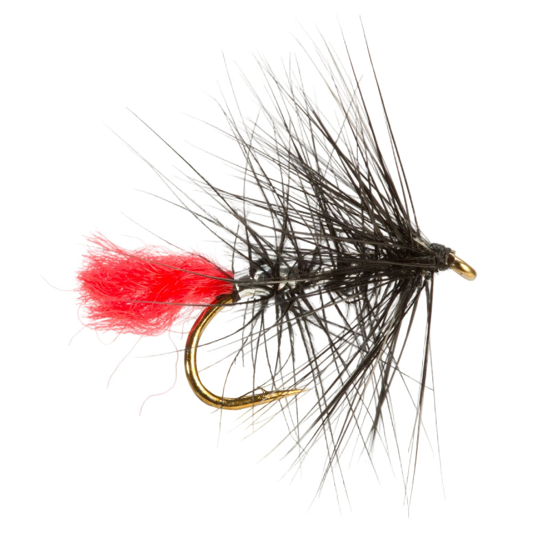 Fishing fly with red body and black hackle on a light gray background