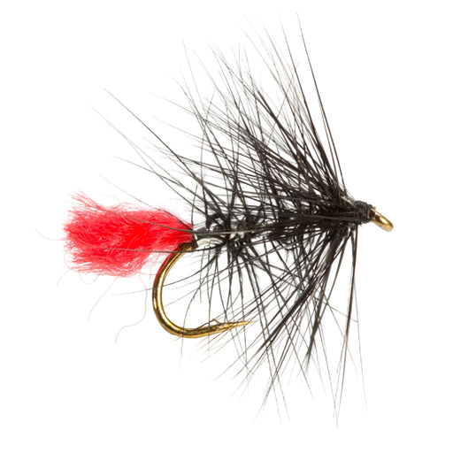 Fishing fly with red body and black hackle on a light gray background
