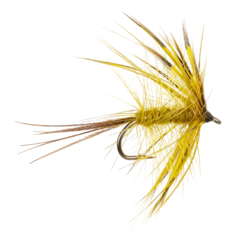 WET HACKLED FLY GOLDEN MAY