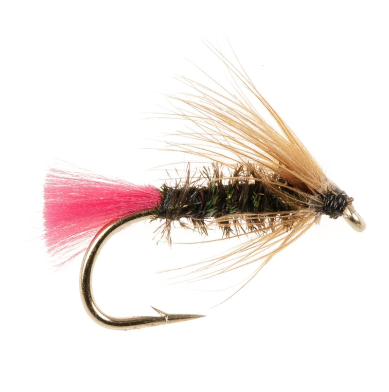 WET HACKLED FLY PINK PEACOCK