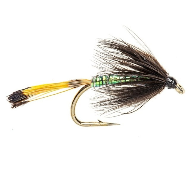 WET HACKLED FLY PEARLY PENNEL