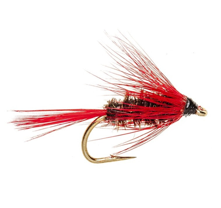 WET HACKLED FLY SCARLET DIAWL BACH