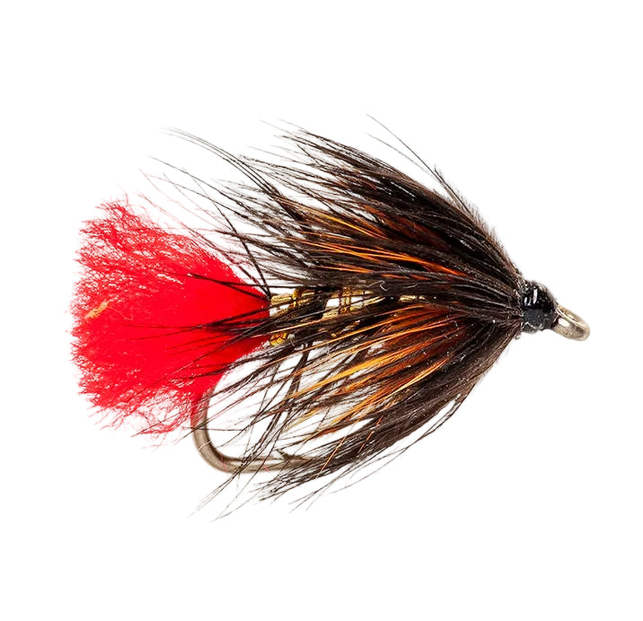 WET HACKLED FLY DOOBRY
