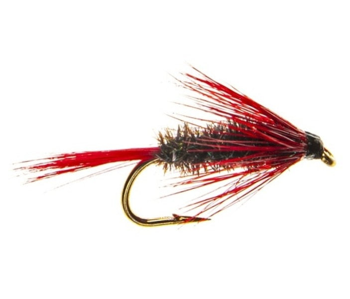 WET HACKLED FLY CLARET DIAWL BACH