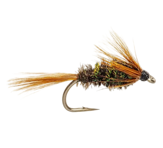 WET HACKLED FLY DIAWL BACH