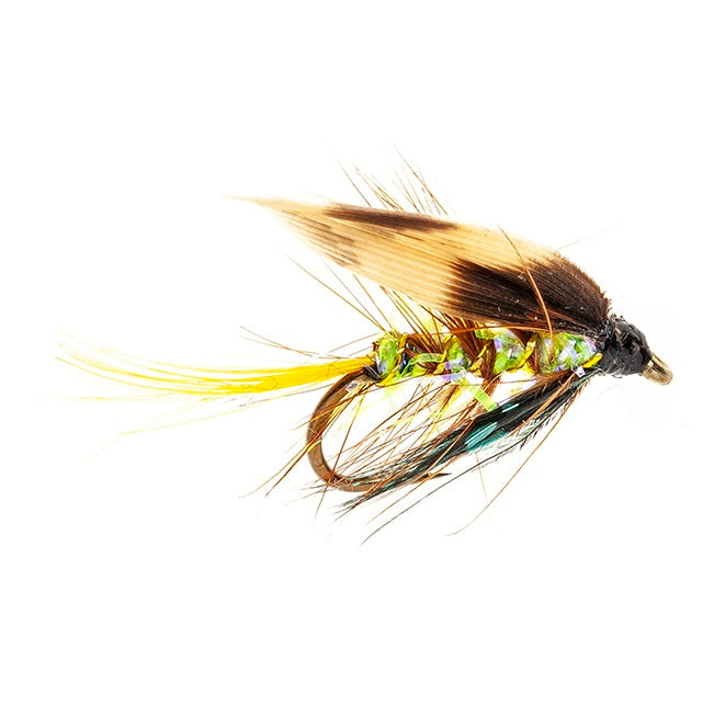 WET HACKLED FLY STRAGGLE FRITZ INVICTA