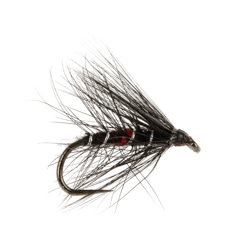 WET HACKLED BARBLESS FLY BIBIO