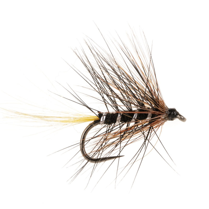 WET HACKLED BARBLESS FLY KATE MACLAREN