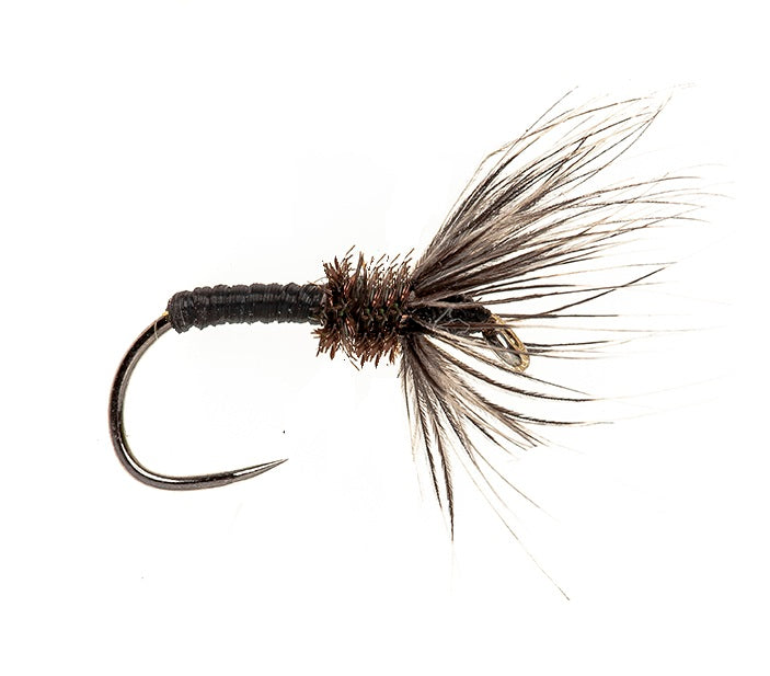WET HACKLED BARBLESS FLY GRIZZLY OKI KEBARI