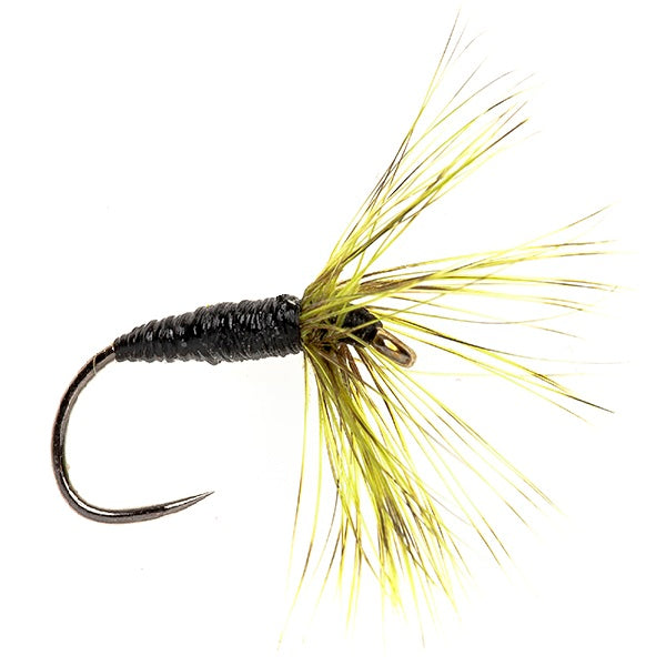 WET HACKLED BARBLESS FLY ISHIGAKI KEBARI