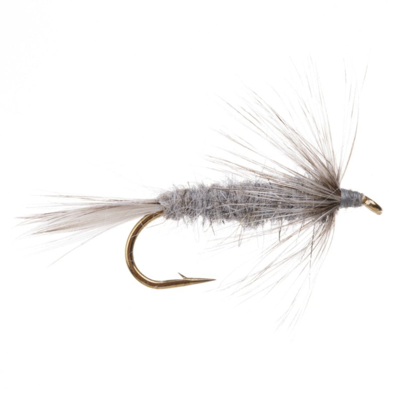 WEIGHTED NYMPH FLY GREY HERO