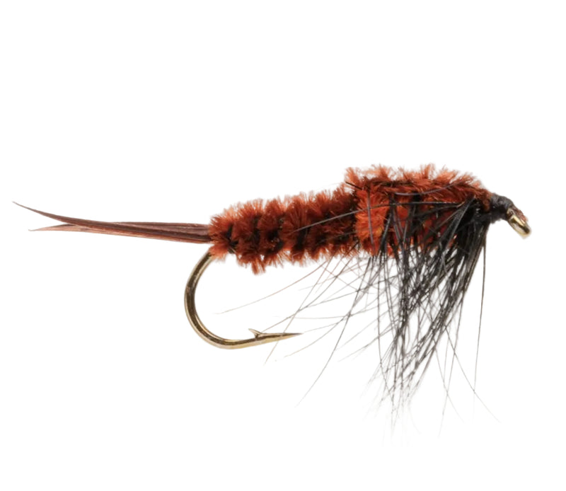 WEIGHTED NYMPH FLY TED'S STONE FLY