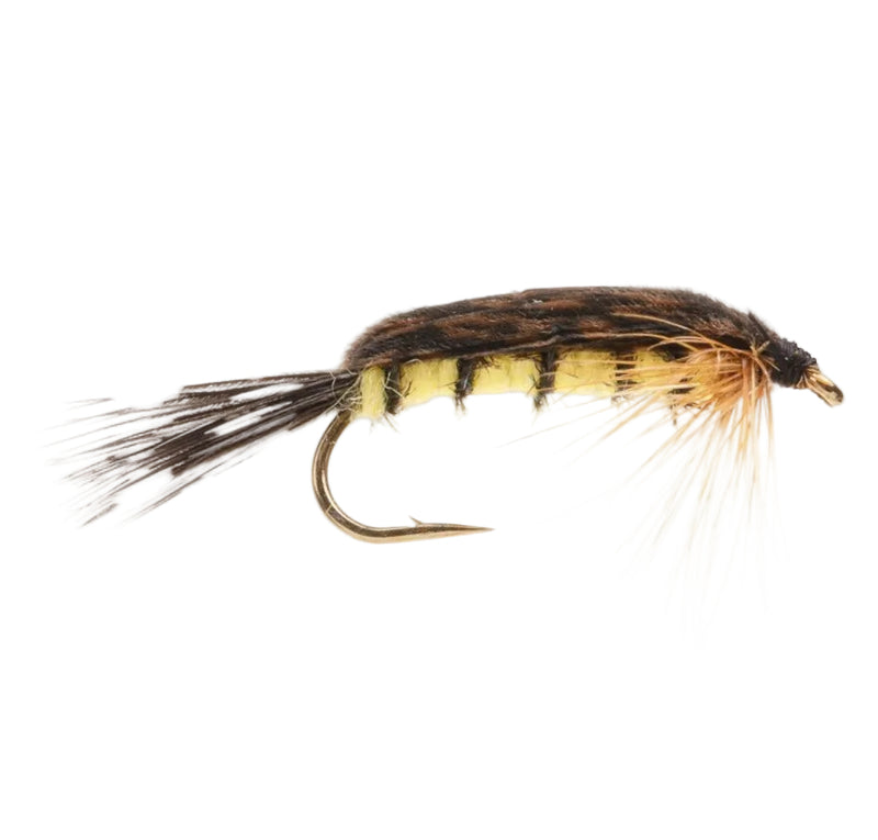 WEIGHTED NYMPH FLY TELLICO