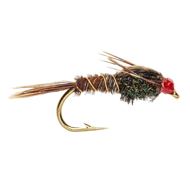 WEIGHTED NYMPH FLY PHEASANT TAIL