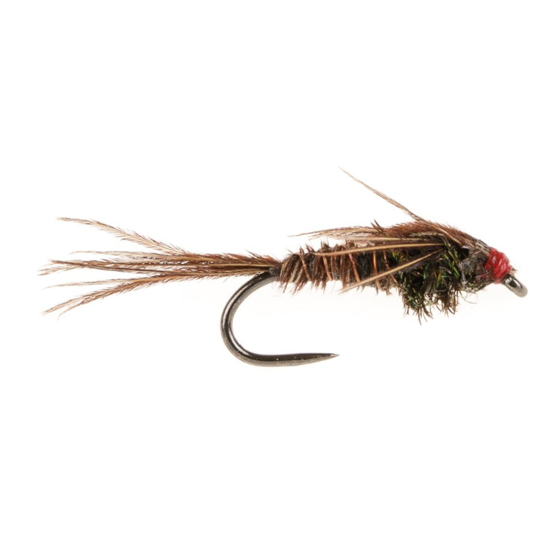 WEIGHTED NYMPH BARBLESS FLY WEIGHTED PHEASANT TAIL
