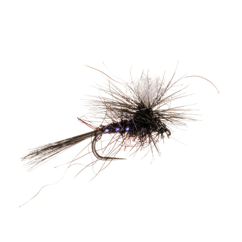 BARBLESS WILD RIVER  FLY HI VIS BLACK GNAT