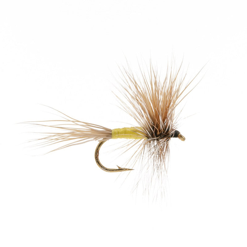 WULFF DRY FLY GRIZZLY