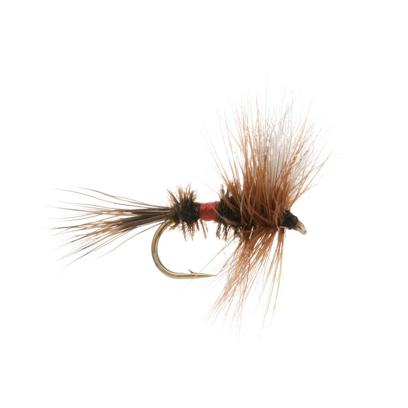 WULFF DRY FLY ROYAL