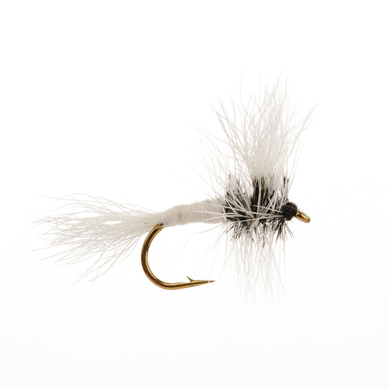 WULFF DRY FLY WHITE