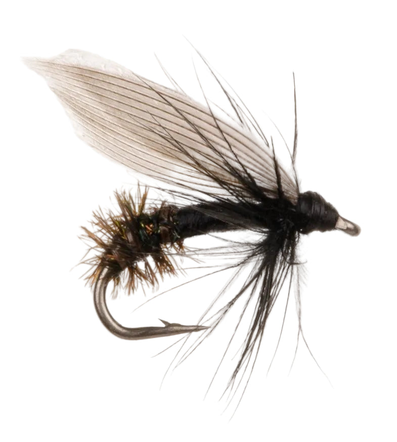 WET WINGED FLY BLACK ANT