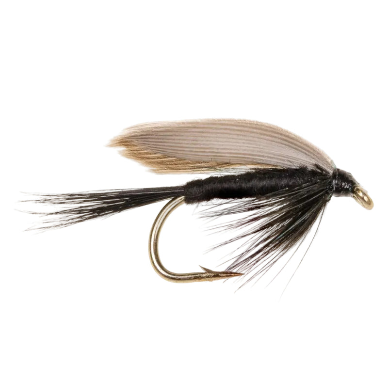 WET WINGED FLY BLACK GNAT