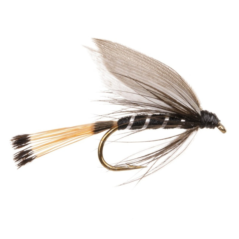 WET WINGED FLY BLAE & BLACK