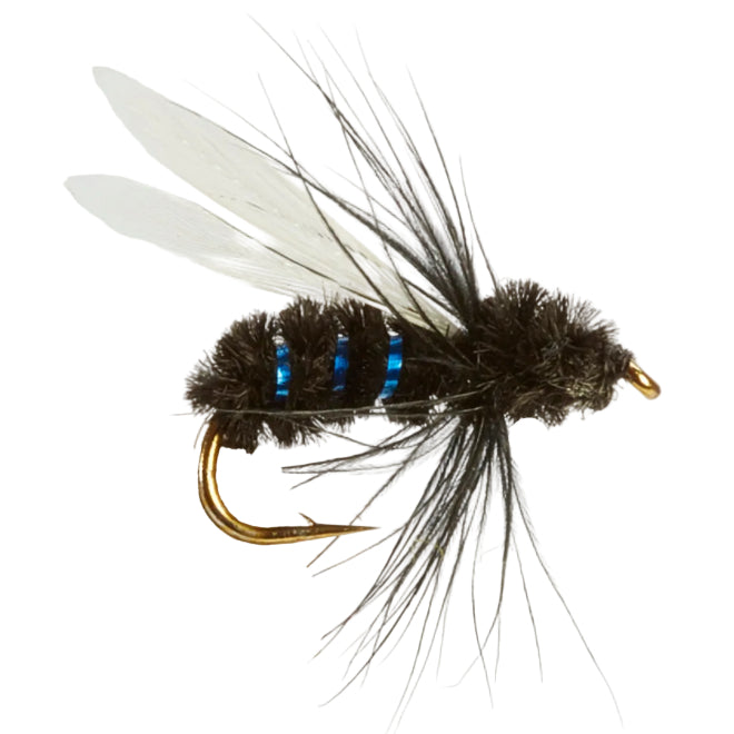 WET WINGED FLY BLUE BOTTLE
