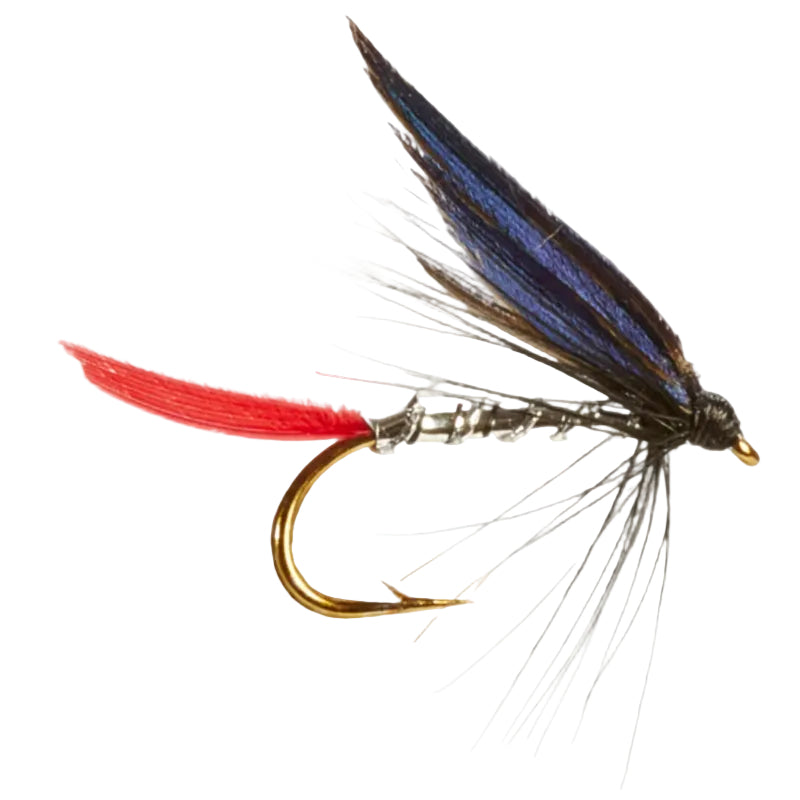 WET WINGED FLY BUTCHER